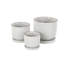 Cole And Grey 3 Piece Ceramic Abstract Circle Patterned Planter With Brown Accents And Base Tray Set