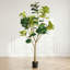 Figuier artificiel 7 pi 7 pi, fausse plante réaliste en pot noir, 1pc / ensemble