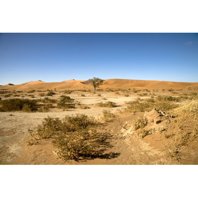 Paysage de désert sec par Mlenny