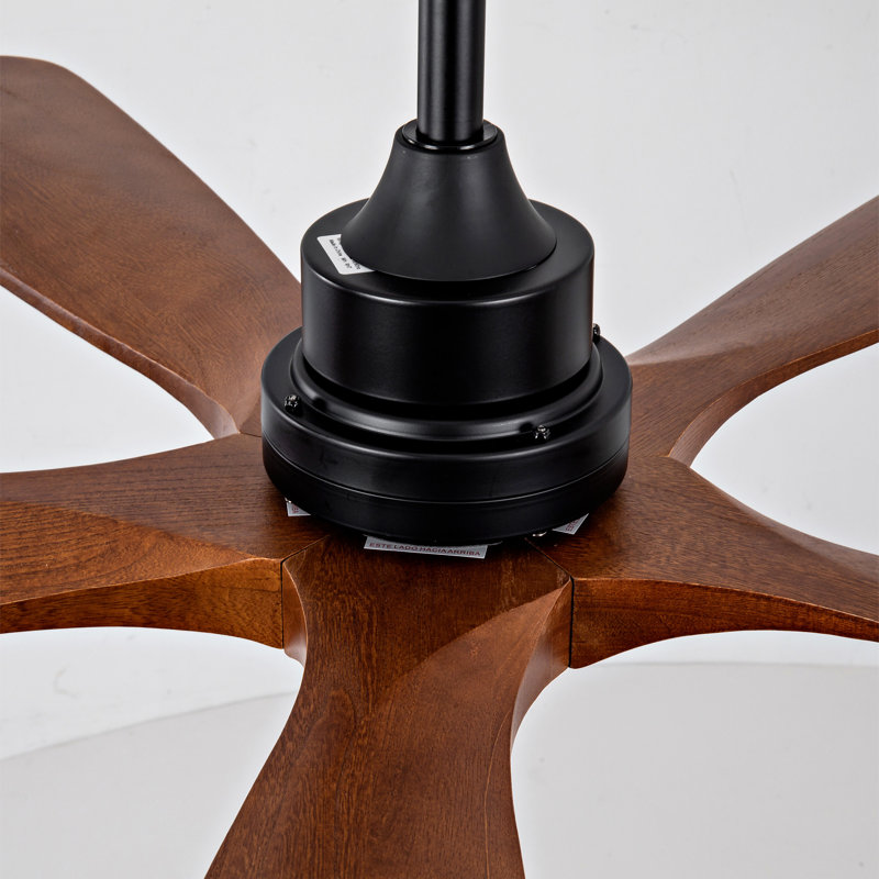 Ventilateurs de plafond avec lumières et télécommande, Noir, Brun
