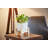 Ceramic Indoor Planter With Wood Stand