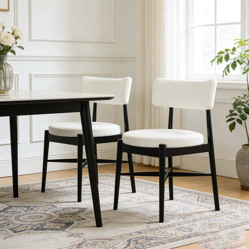 Modern Dining Chairs