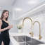 VEVOR Kitchen Faucet-516438103