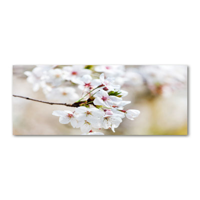 Cherry Blossoms - Wrapped Canvas Print