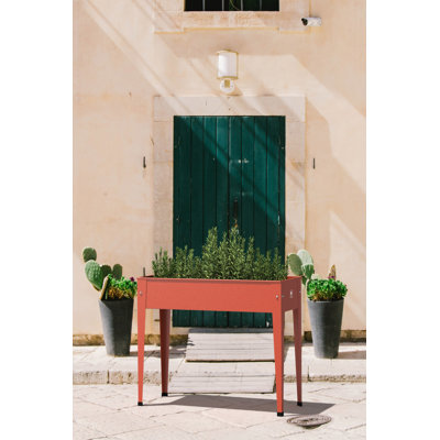 40 cm x 100 cm Hochbeet