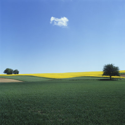 Spring (Image Size XXXL) by Rotofrank