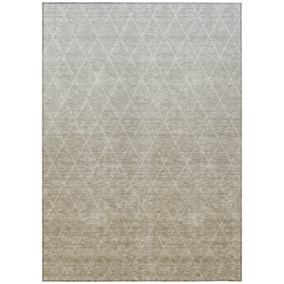 Machine Washable Indoor/Outdoor Chantille ACN1175 Taupe Rug