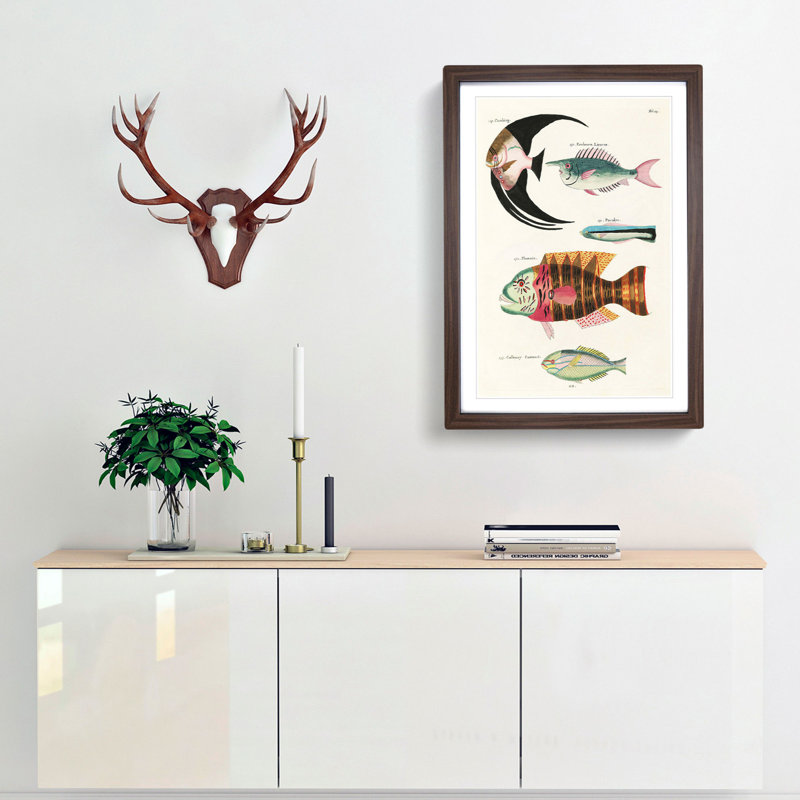 East Indies Fish Illustrations Fol. 24 by Louis Renard - Picture Frame Painting Print, 36cm H x 27cm W x 2cm D, Walnut Framed
