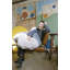 Regina Giménez Round Pouf