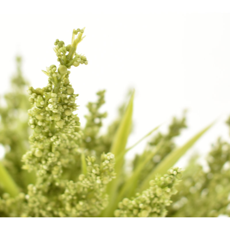 Arrangements floraux en pot Mason, vert