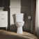 Kelston Comfort Height Two-Piece Elongated 1.28 Gpf Toilet With Continuousclean St Technology