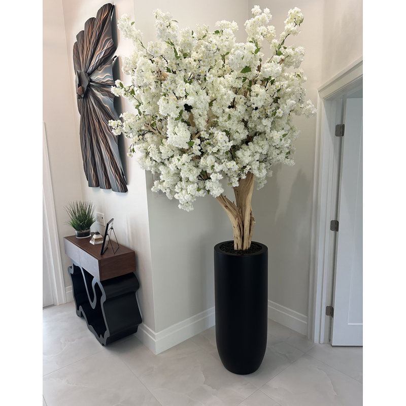 White Cherry Blossom Tree In Matte Planter, White