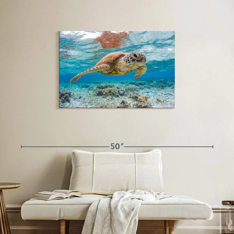 Brampt Galapagos Island Turtle, 24" H x 36" W
