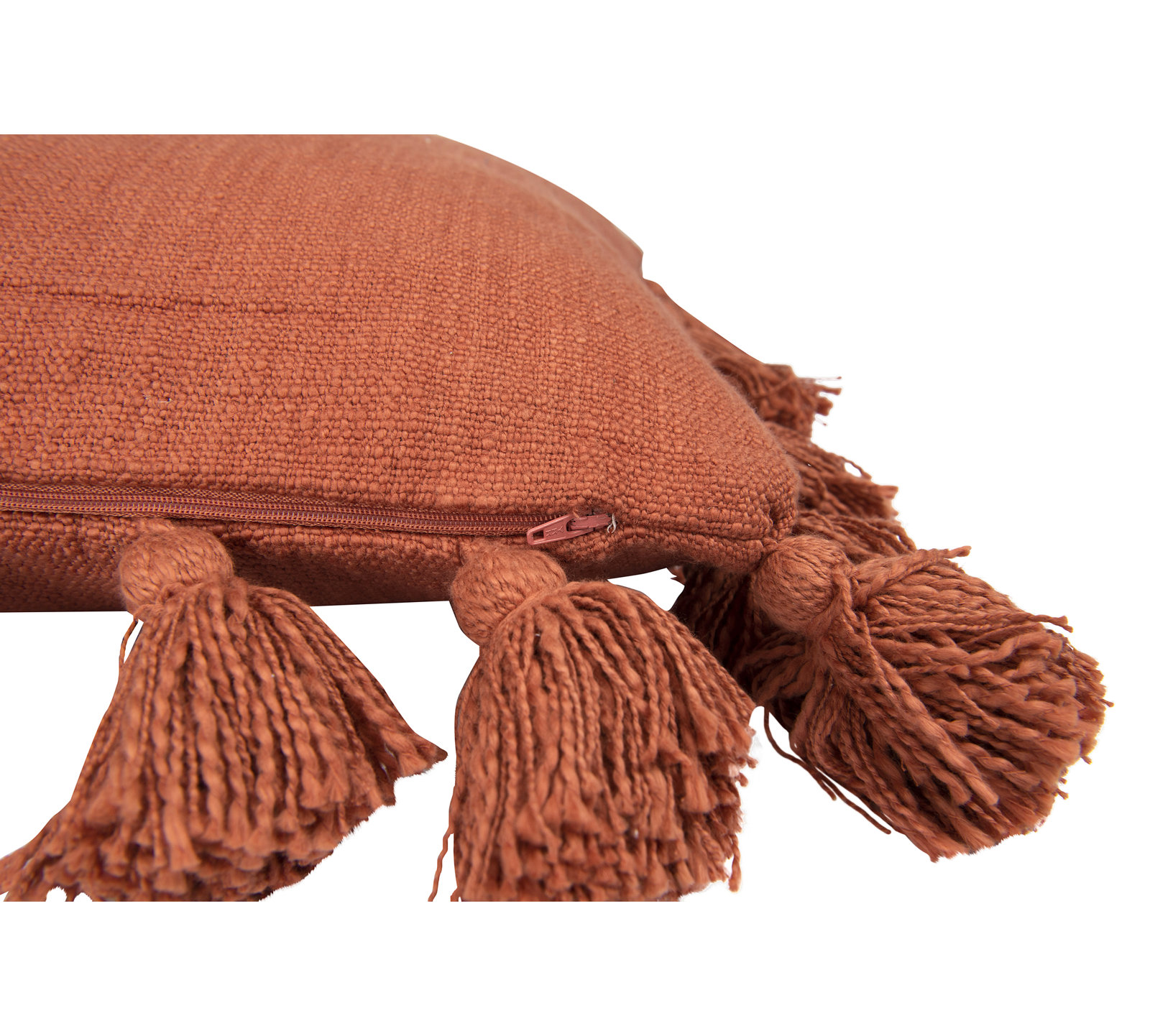 Astraeus 18" x 18" Cotton Throw Pillow, Russet