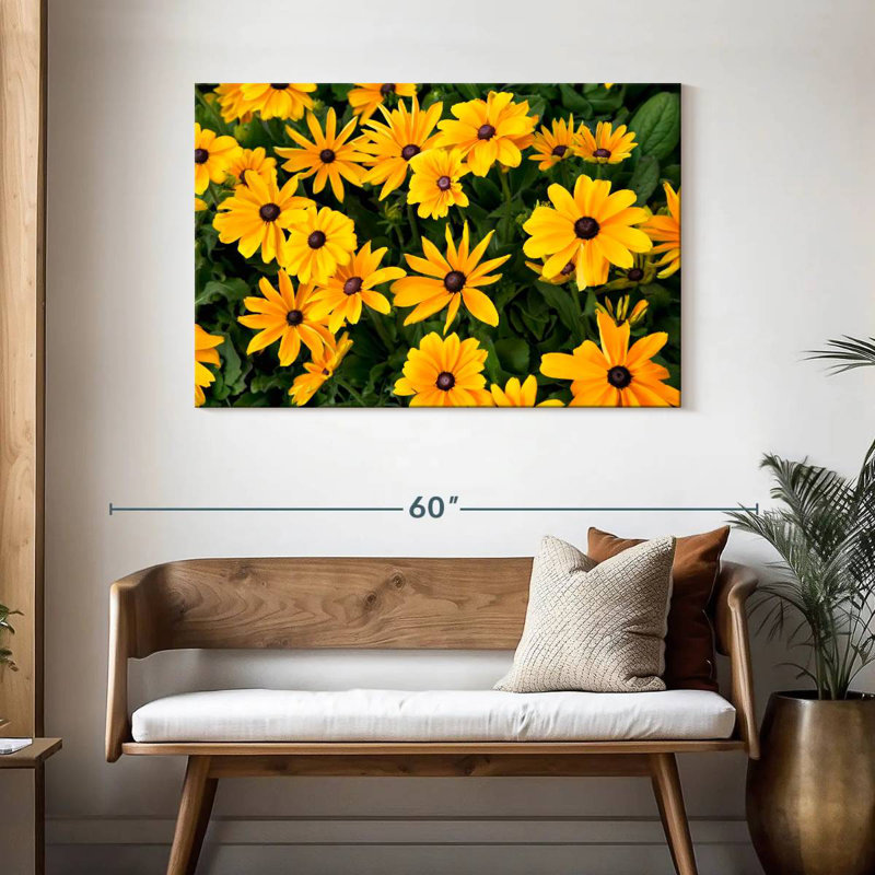 Harnek Gloriosa Daisies, H 30 po x l 45 po