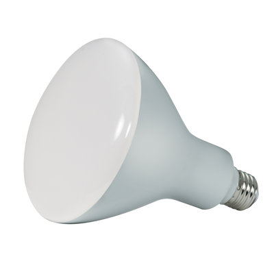 13 Watt LED Bulb