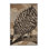 Washable Tree Pangolin Wildlife Area Rug