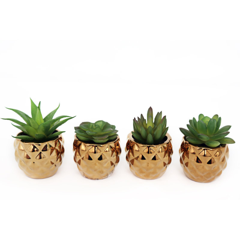 Mixed Assortment Arrangement in Pot
