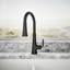 Tone Single Handle Pull Down Kitchen Sink Faucet with Three-Function Pull Down Sprayer-1818499653