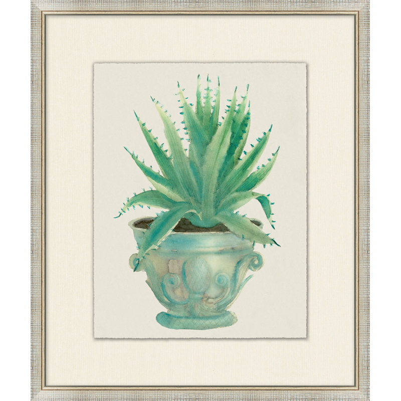 Aloe Pot 1 Print