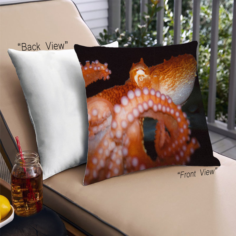 Throw Pillow, Synthetic