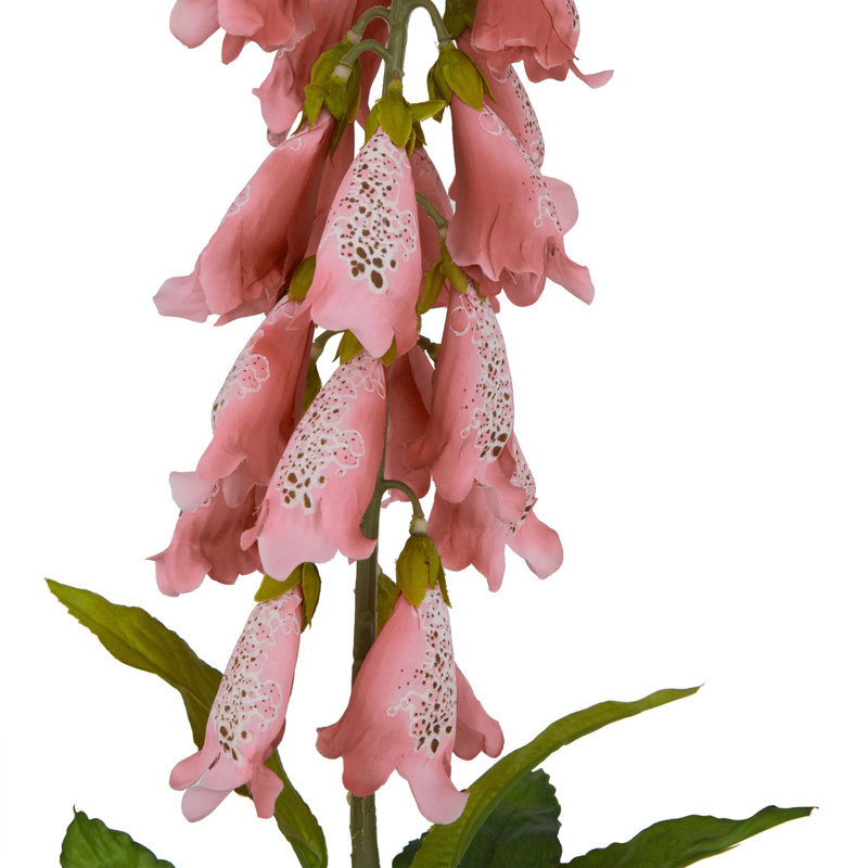 The Natural Garden Collection Foxglove, 55cm H x 6cm W x 6cm D, Pink