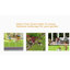 Coeymans 70 cm H x 61 cm W Fence Panels Fencing with 5 Panel(s) Included-1973254289