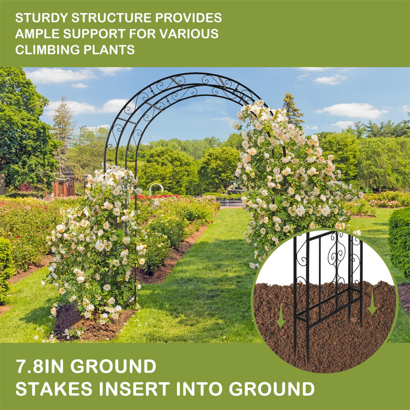 132.5cm W x 58cm D Metal Arbour in Black