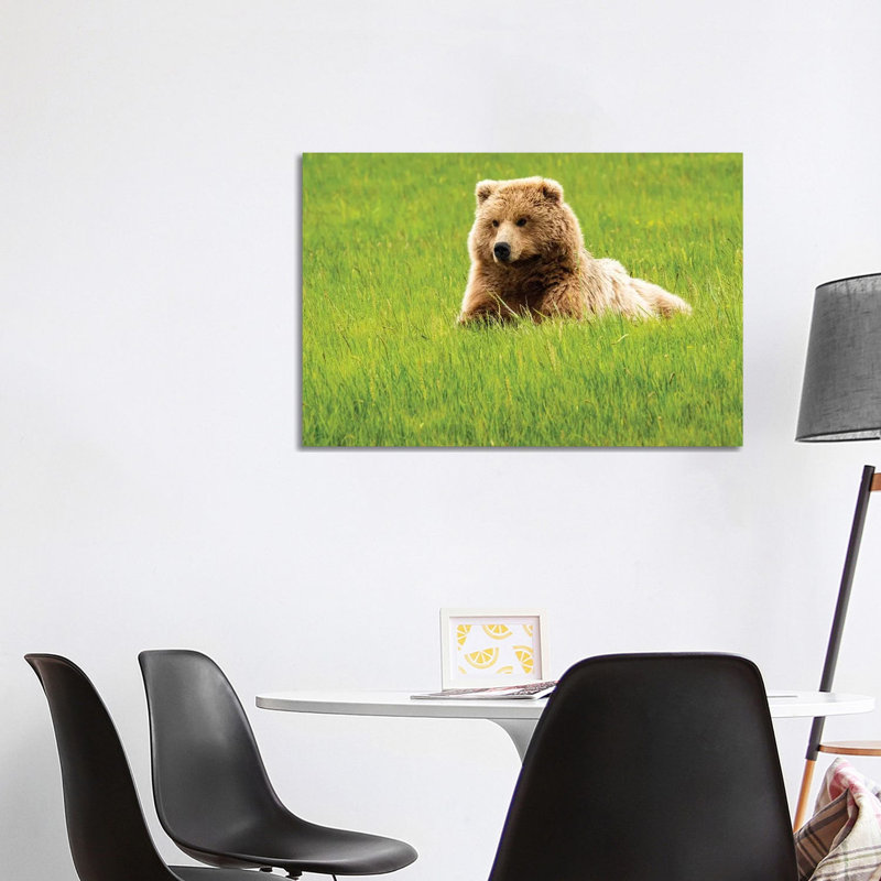 Grizzly Bearon Grass by George Theodore - Wrapped Canvas Print, 101.6 cm H x 66.04 cm W x 3.175 cm D