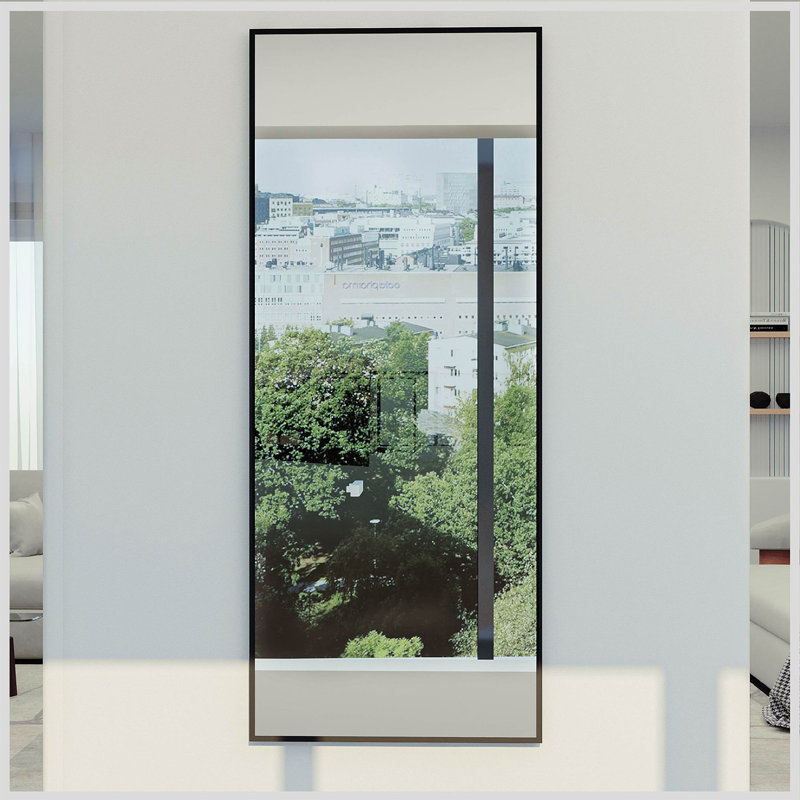 Schweitzer Bathroom / Vanity Mirror, Black, 30" x 72"