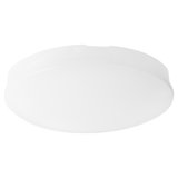 Jadarrius 6.25'' 1 - Light LED Globe Ceiling Fan Light Kit