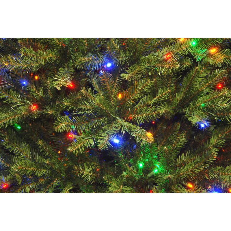Dunhill Fir 10' Hinged Green Artificial Christmas Tree with 1200 LED White/Multicolor Lights