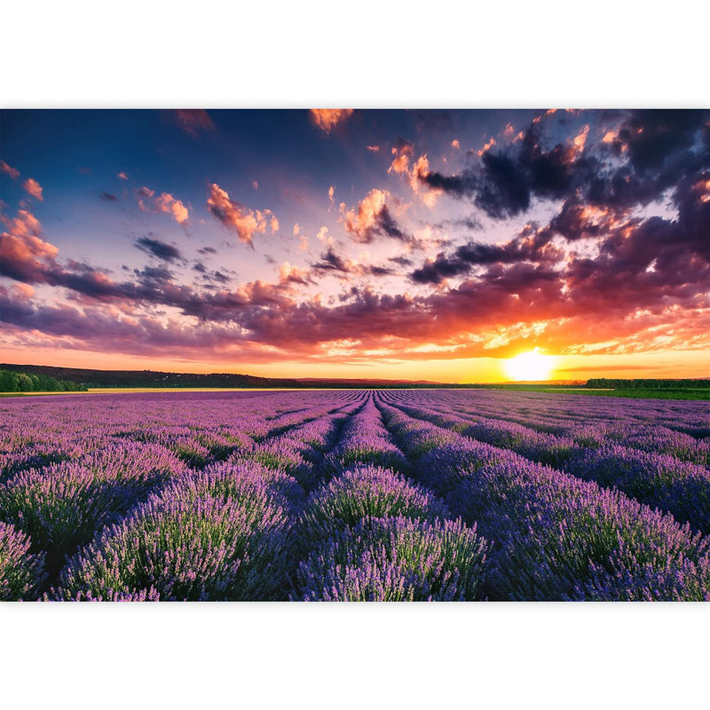 Floral Border, 100" L x 144" W