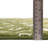 Somerville Geometric Indoor Rug-1775118532-1785900648