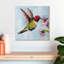 Colibri Brampt I-109358463
