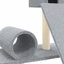 Macsen Cat Perch-522299612