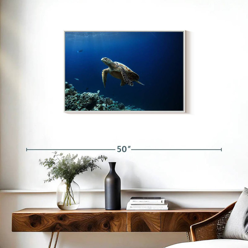 Tortue aventure, 31 po x 21 po, Cadre flottant blanc