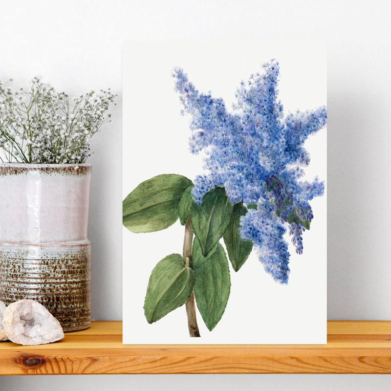 «California Lilac», art floral rétro, plante rustique, H 18 po x l 12 po