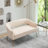 Chynna 51.2'' Velvet Loveseat-1768879380