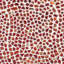 Komorebi 12x12 Pebble Polished Glass Mosaic Tile-1158714032