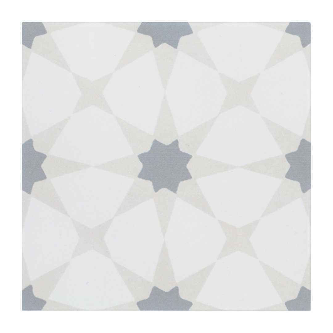 Amara 8 in. x 8 in. Encaustic Look Matte Porcelain Floor and Wall Tile Ackland 