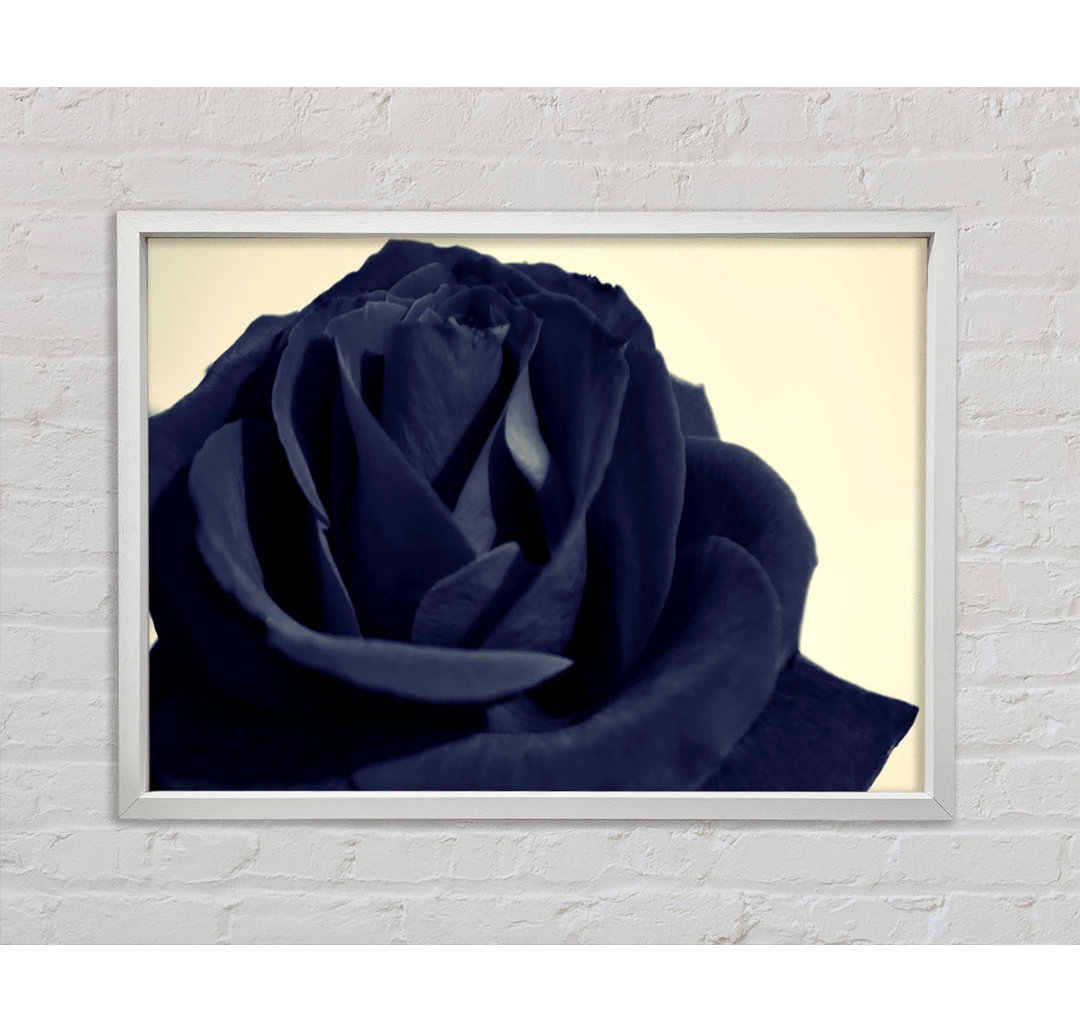 Schwarz Blaue Rose - Druck