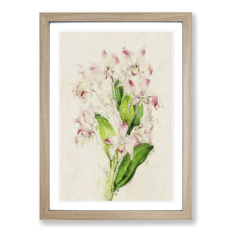 Illustration of Pink Dendrobium Orchids - Picture Frame Painting Print, Oak Framed, 48cm H x 36cm W x 2cm D
