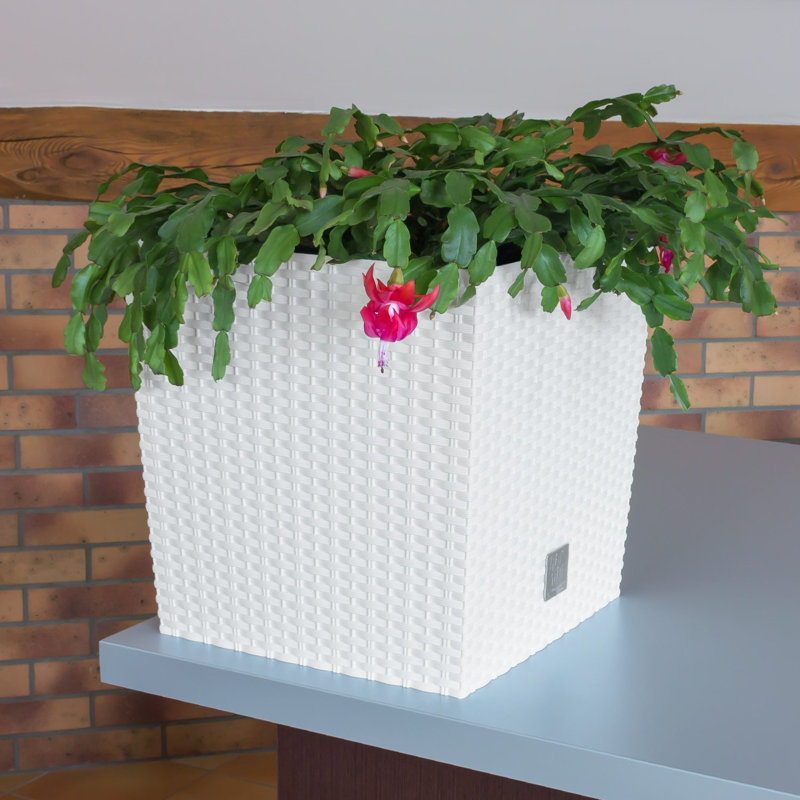 Petty Planter Box, White, 41 cm H x 40 cm W x 40 cm D