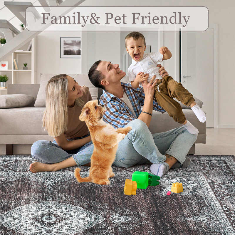 Area Rugs for Living Room Floral Vintage Area Rugs Soft Non Slip  Rug Machine Washable Distressed Vintage Rug for Bedroom Dining Room