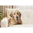 Marley Cushion Cover