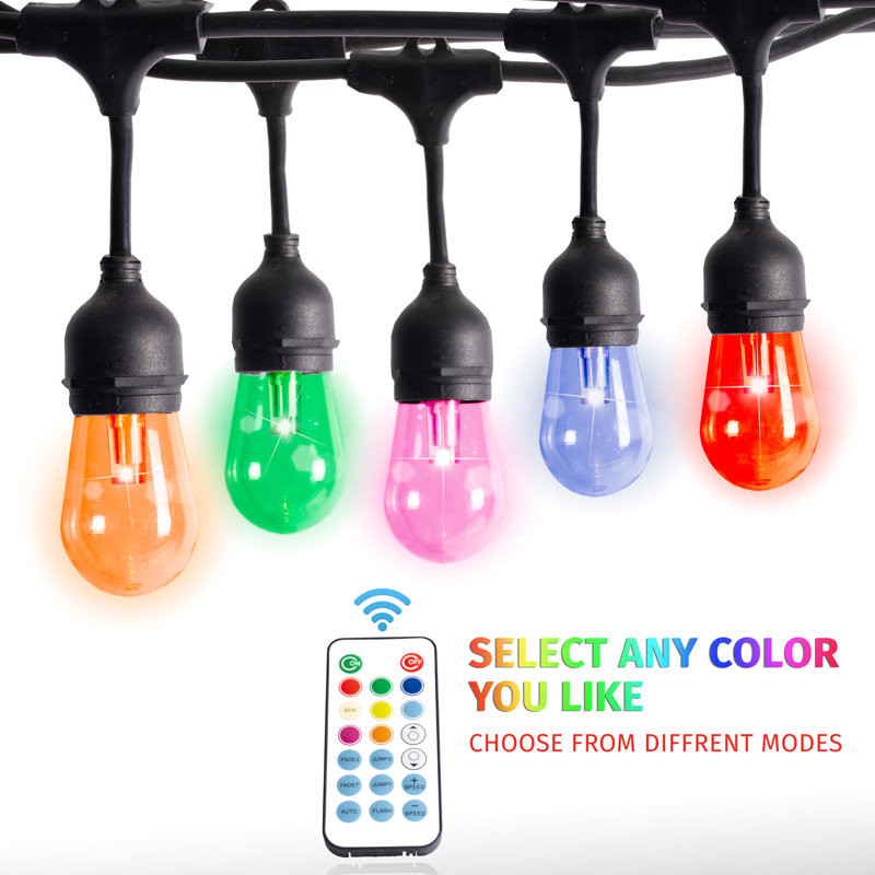 Leonor Outdoor 12 - Bulb 24'' Plug-in LED Globe String Light
