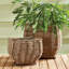 Sylvie Handmade Seagrass Planter-1930649387