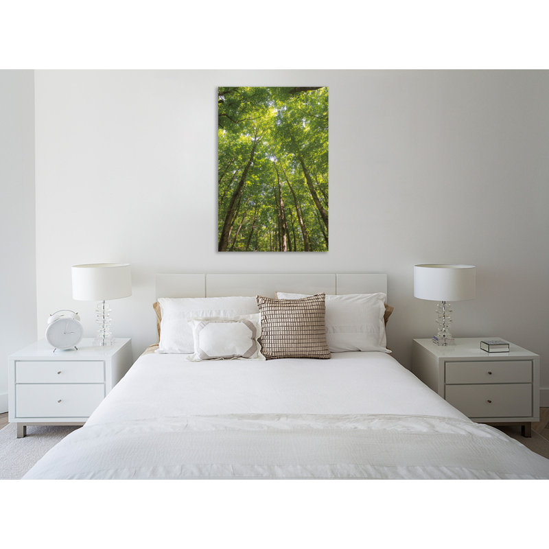 «Hardwood Forest Canopy II», toile tendue par Alan Majchrowicz, H 18 po x l 12 po x P 1,5 po