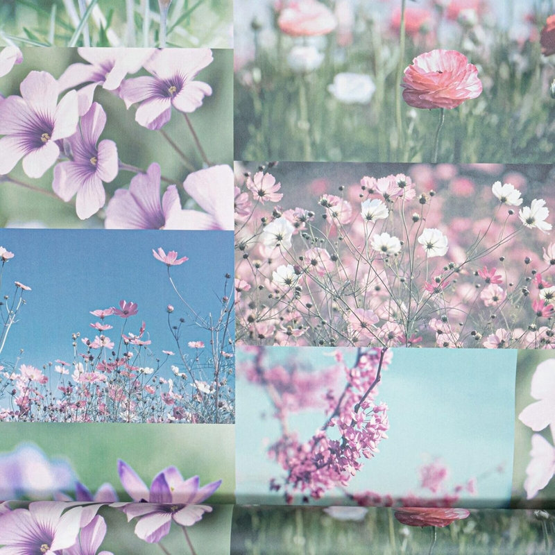 Nellie 10m x 53cm Matte Wallpaper Roll